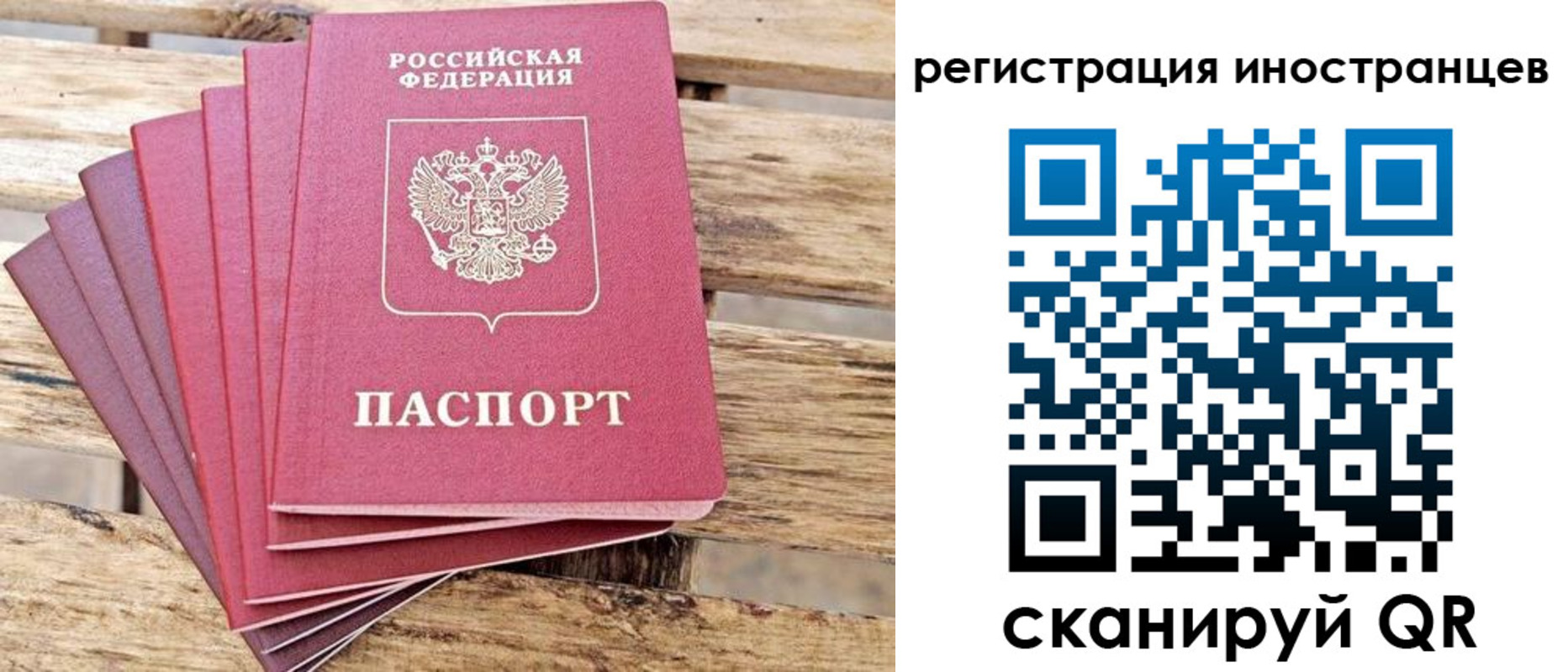 временная прописка в Фролово
